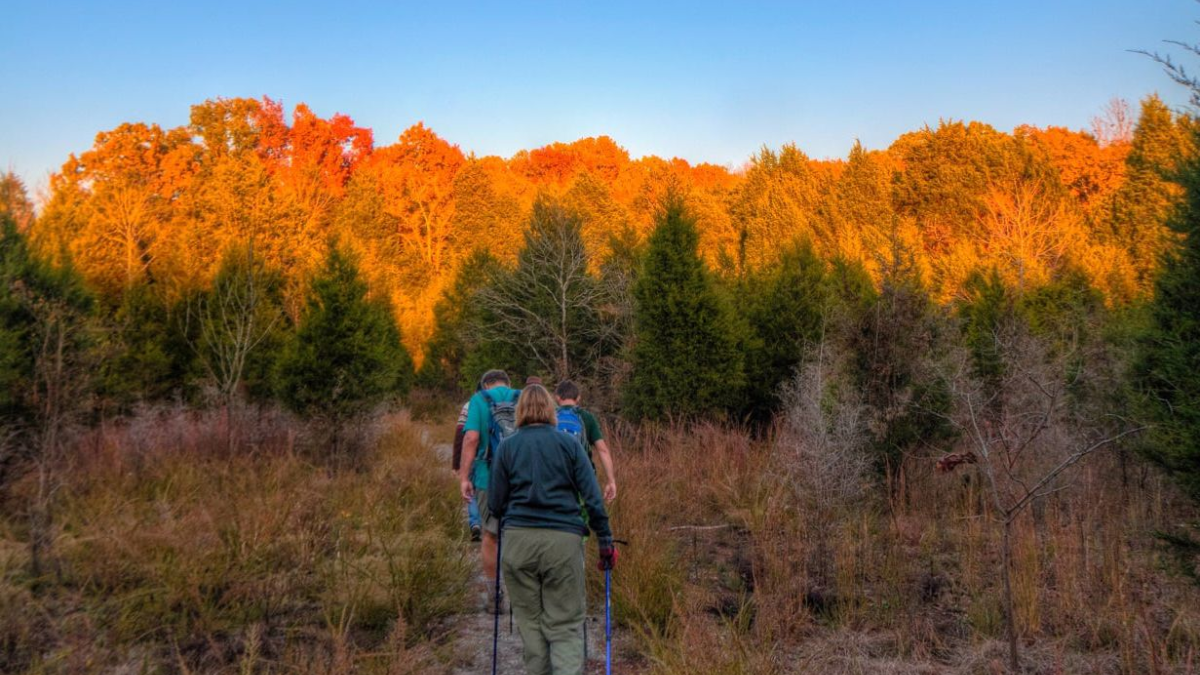 Tennessee State Parks Host Guided Hikes for Post-Thanksgiving Adventure