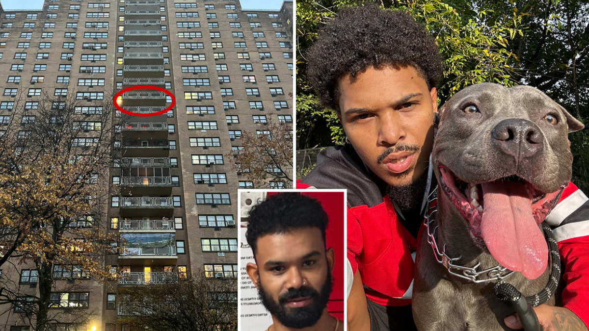 Migrant Allegedly Throws Beloved Pit Bull Off 14th-Floor Balcony in NYC