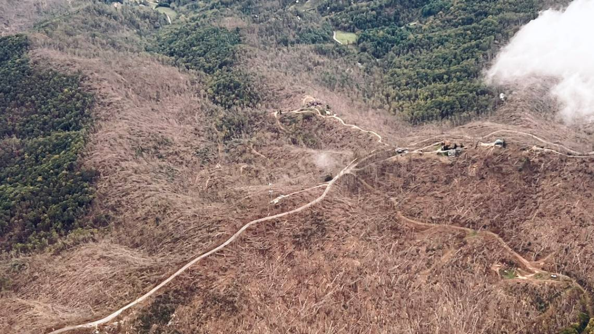 The Impact of Hurricane Helene on Western North Carolina Forests