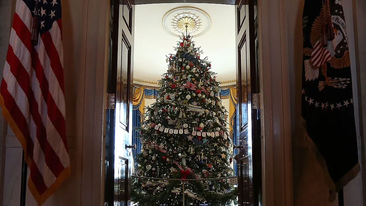 North Carolina Fraser Fir Chosen as 2024 White House Christmas Tree