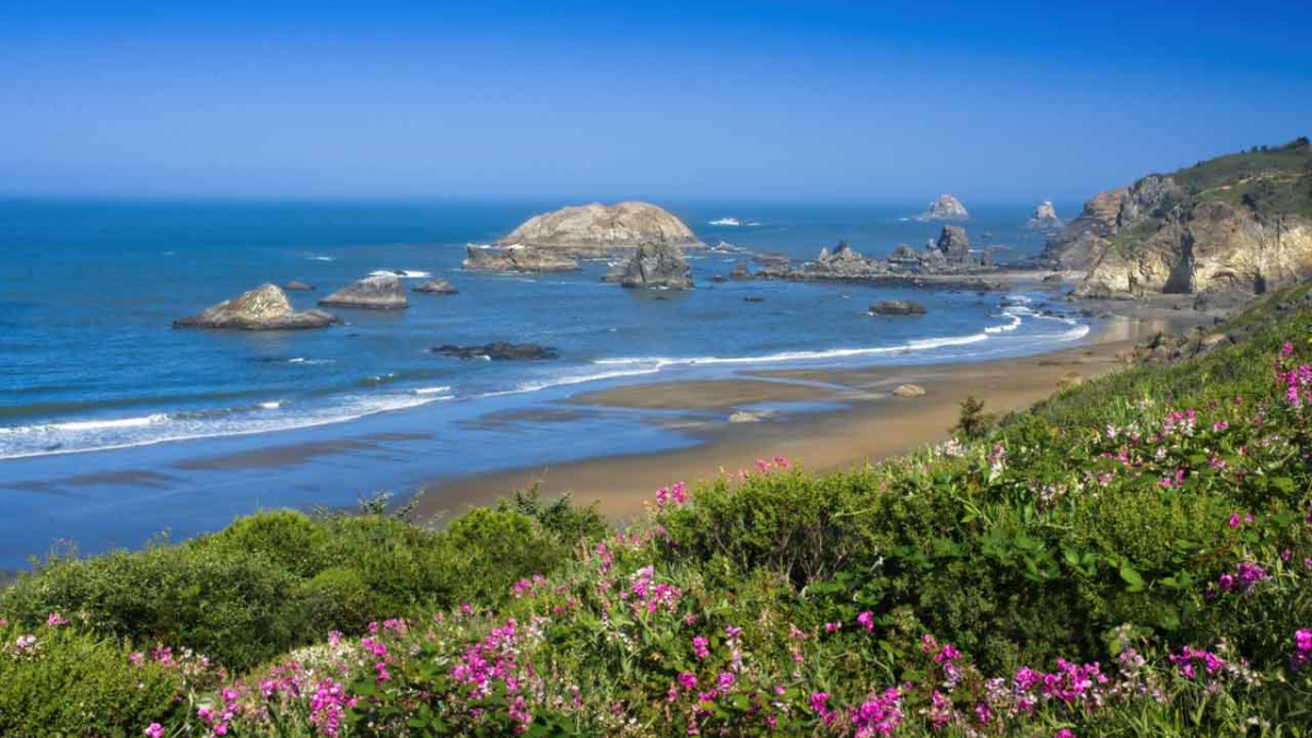 Oregon’s Brookings Bans Beach Camping to Protect Local Environment