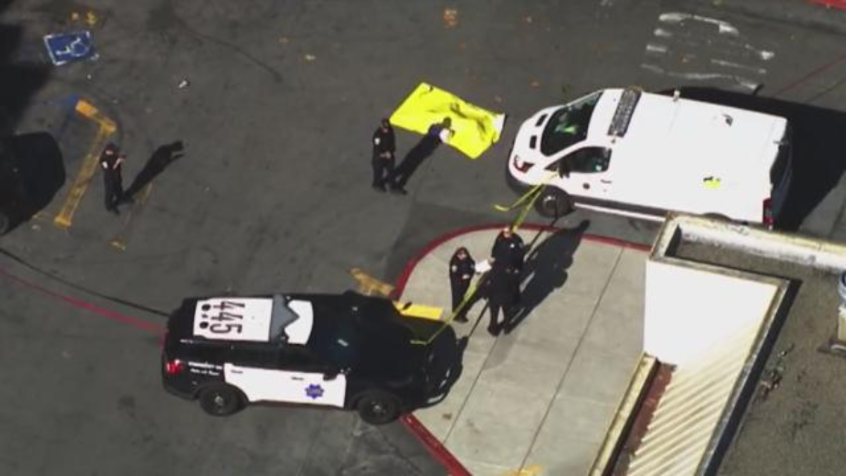 San Francisco Police Shoot Two Dogs After Attack in Fillmore District