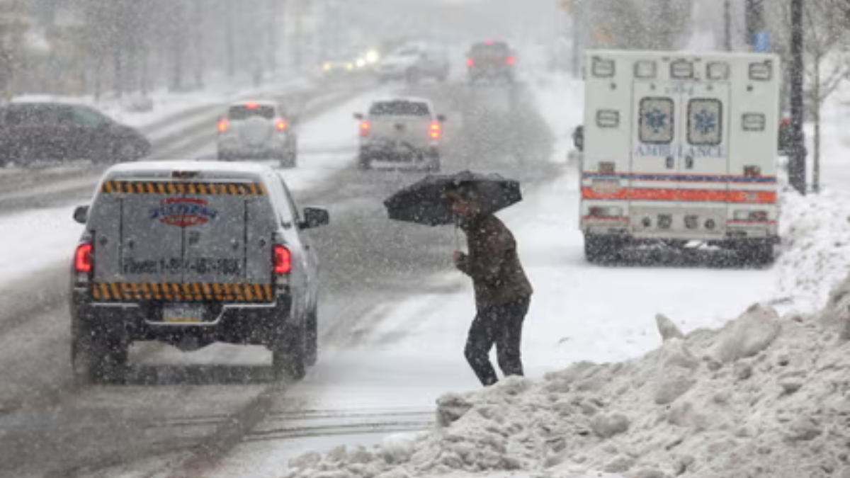 South Carolina Braces for Hard Freeze as Temperatures Plummet