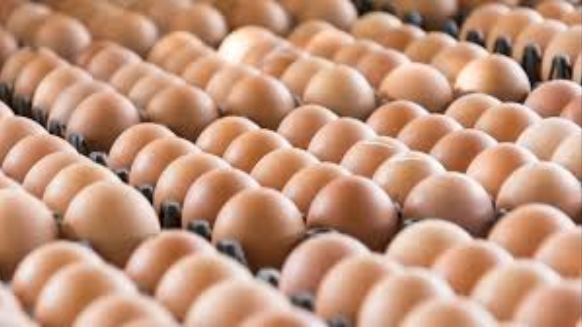 Egg Recall at Costco Includes Products Sold in Tennessee