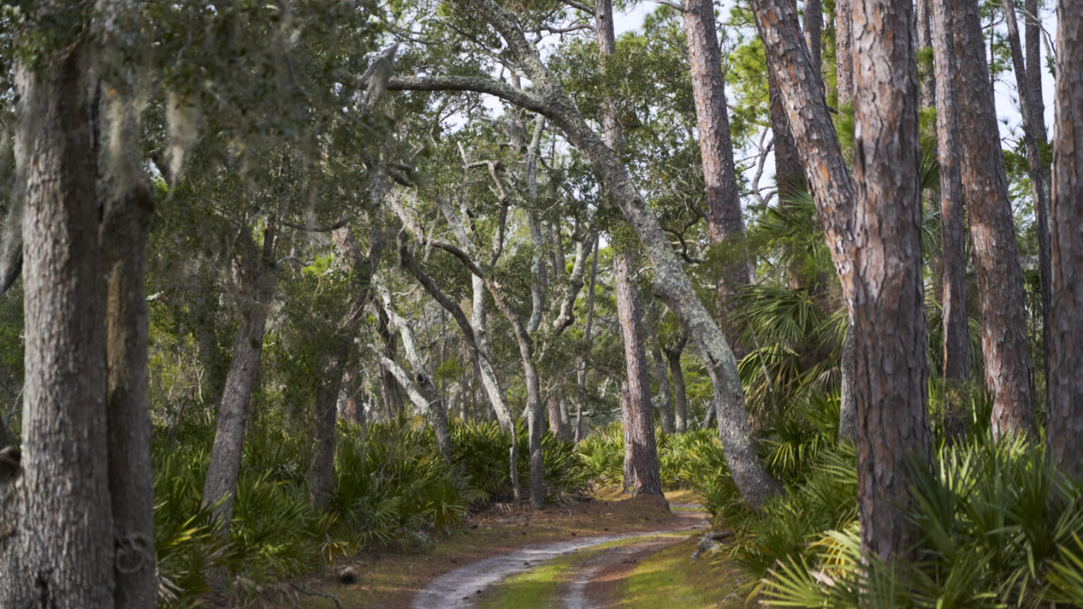 South Carolina State Parks Offer Free Admission on Black Friday