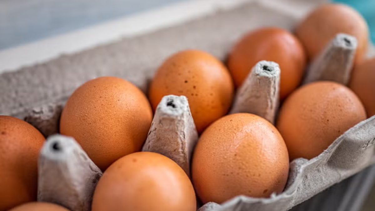 FDA Issues Severe Warning on Costco’s Egg Recall: What You Should Be Aware Of