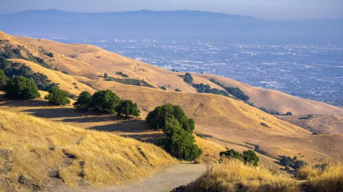 Warm and Dry Weather Continues in Bay Area with Record Temperatures Expected