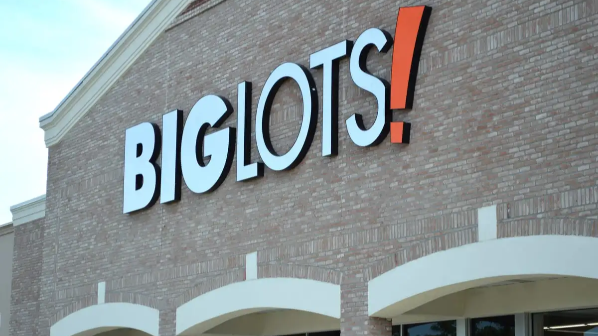 Budget-Friendly Finds at Big Lots for Retirees on Social Security