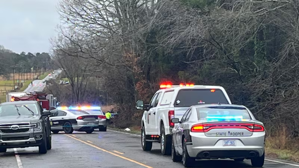 Tragic Accident in North Carolina: One Dead After Tree Falls During Heavy Rain