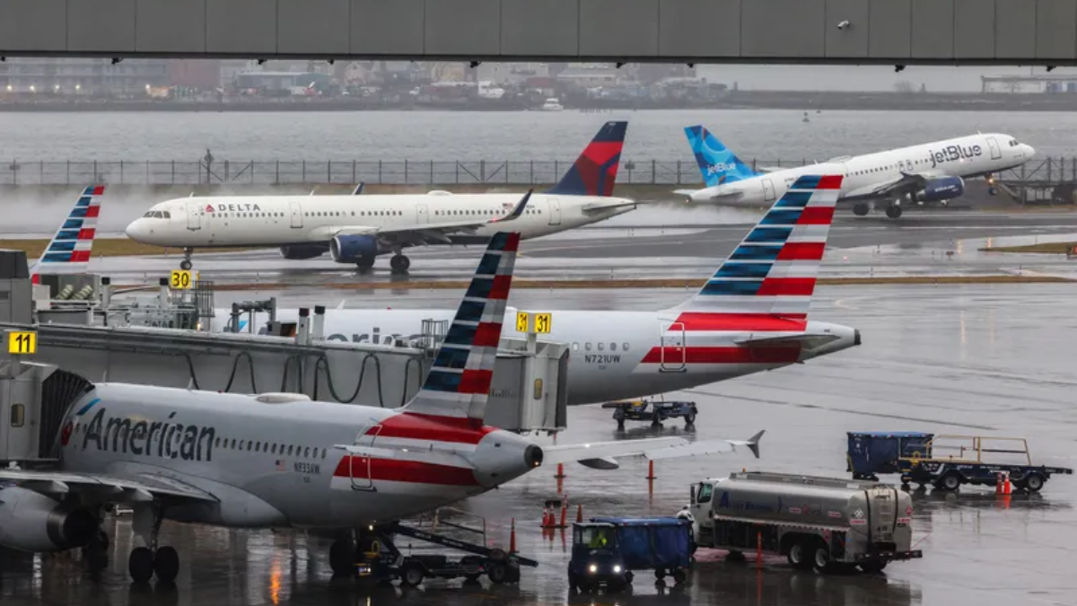 Bird Strike Forces Emergency Landing of American Airlines Flight from LaGuardia