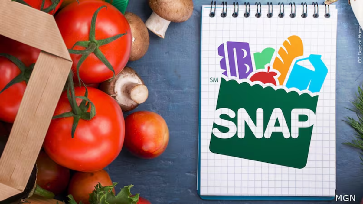 SNAP Benefits on Time for Christmas: These States Will Ensure Your EBT Card Payments Arrive