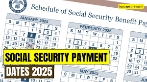 Essential 2025 Social Security Payment Dates You Should Mark in Your Calendar Now!