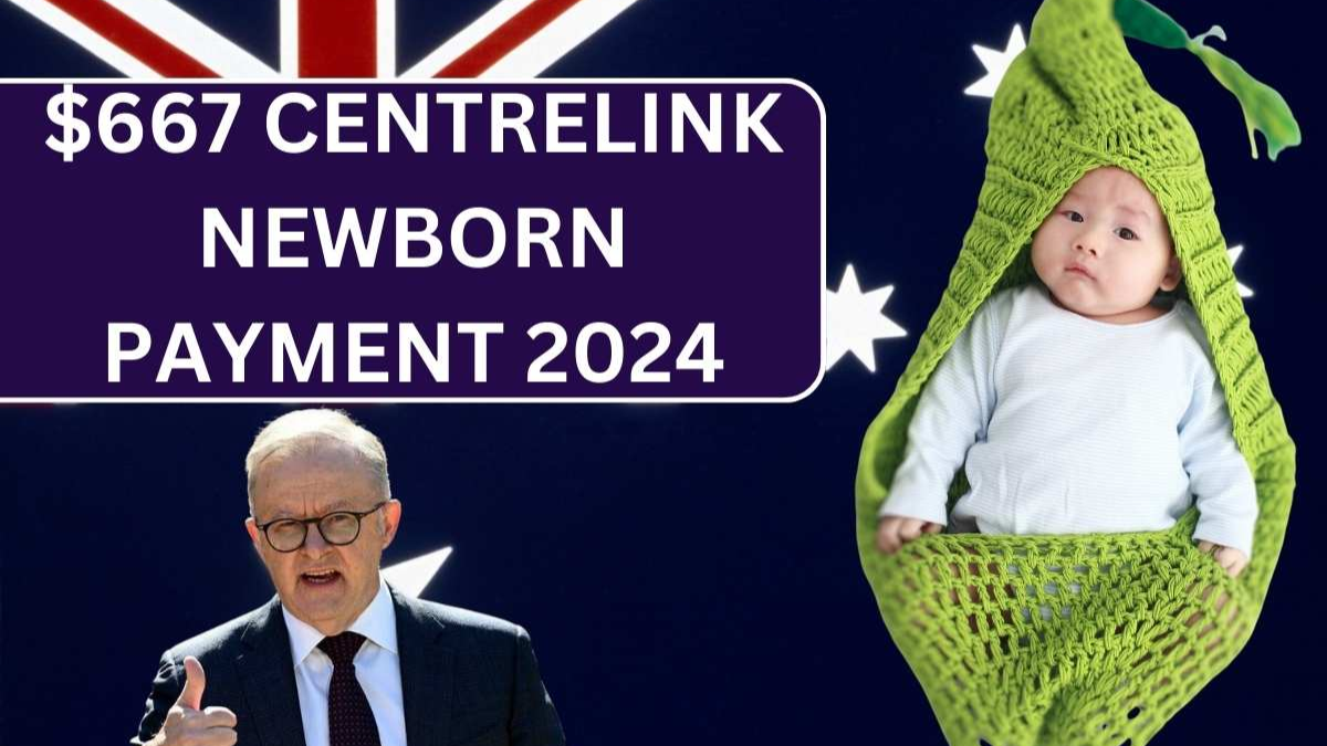 $667 Centrelink Newborn Payment 2024: How to Track Upfront and Supplement Payments