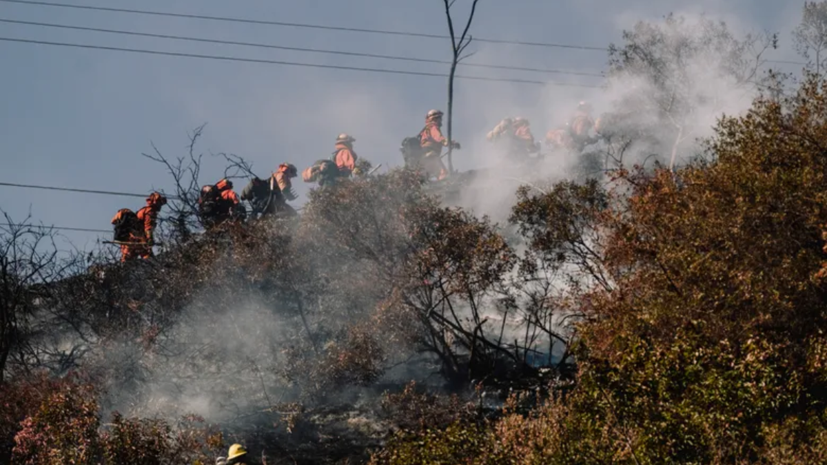 Los Angeles Wildfire Cleanup Draws Parallels to 2018 Camp Fire Recovery