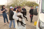 Arizona Shelters Receive Dozens of Dogs as California Fires Overwhelm Animal Rescue Efforts