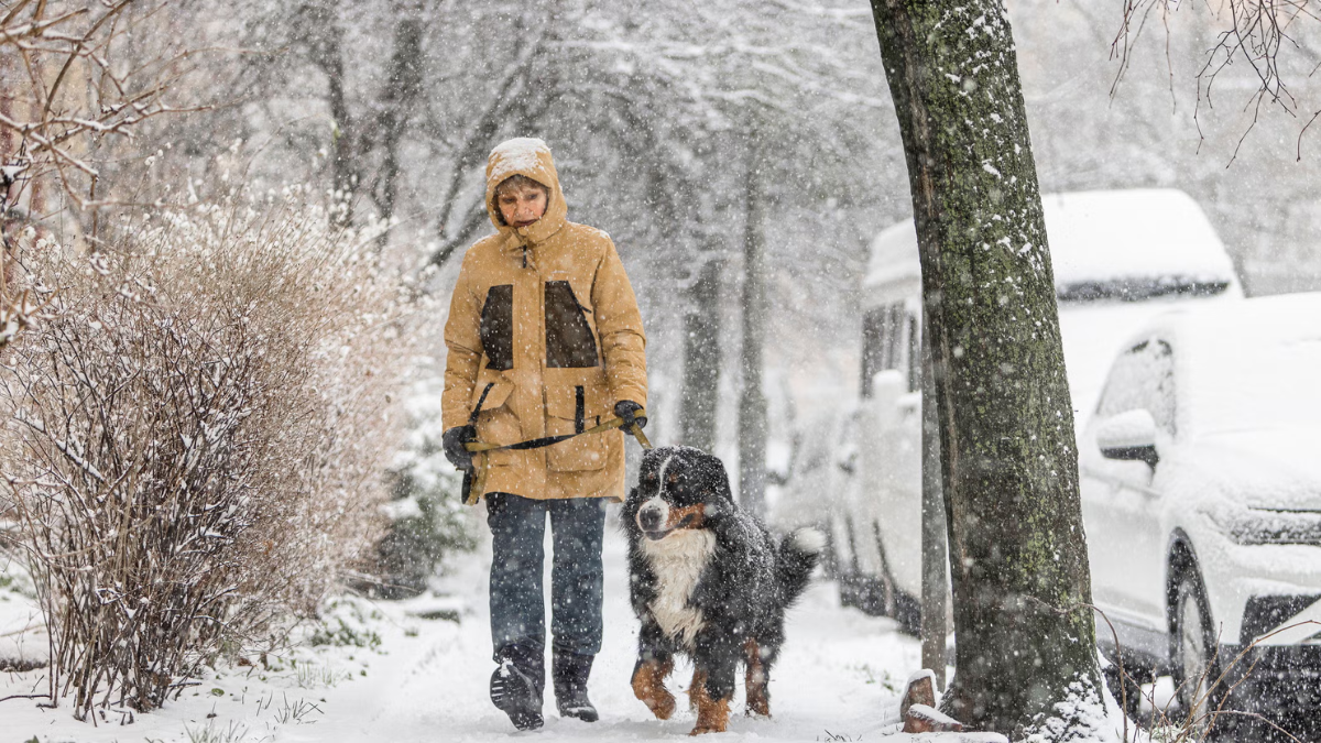 Winter 2025 Forecast: Insights from Wisconsin Farmers and Experts