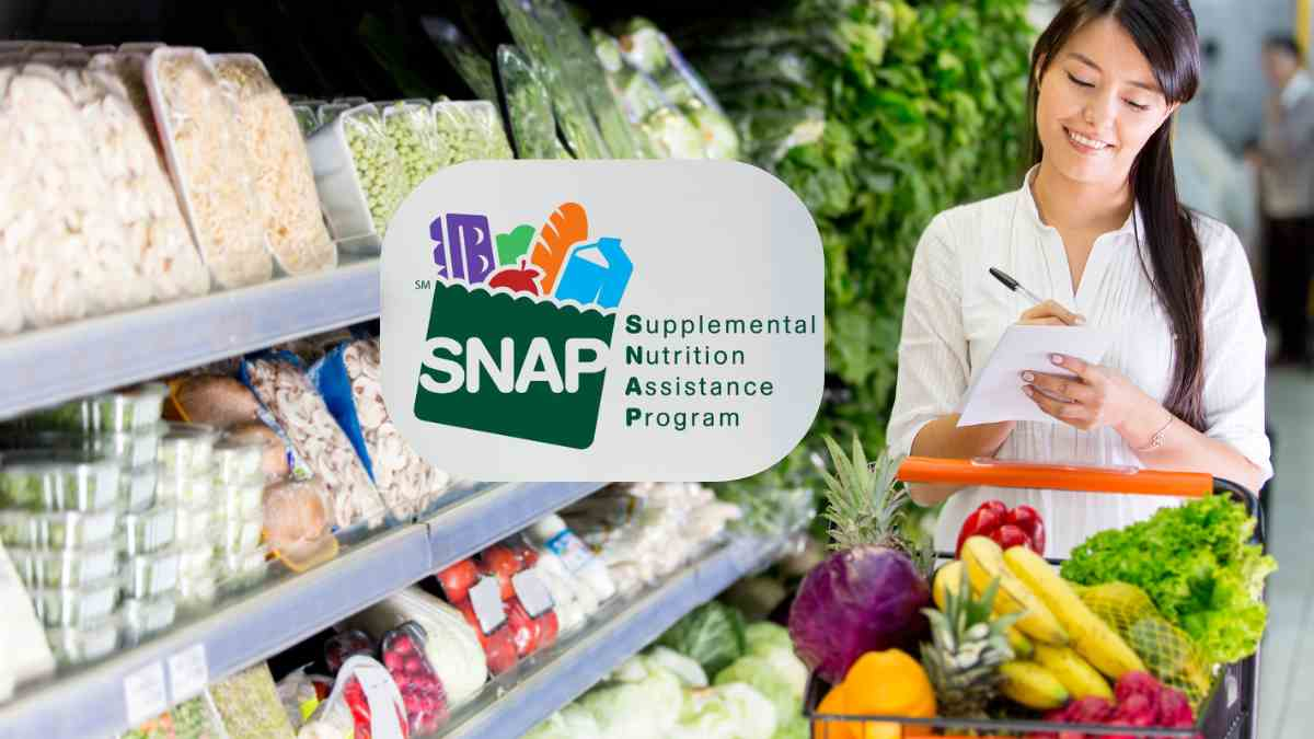 When Will You Receive Your $292 SNAP Payment in January 2025? A Breakdown for New Mexico, Louisiana, West Virginia, and Mississippi