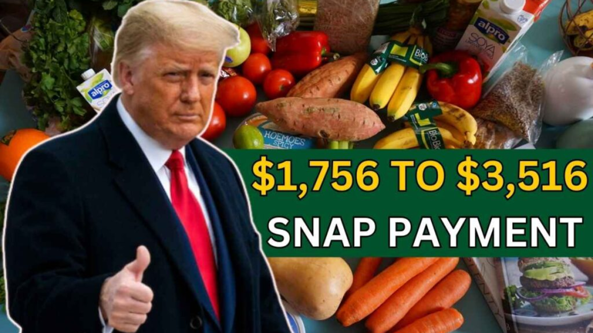 SNAP Update: Families Could Get $3,516—See If Your State Is Included!