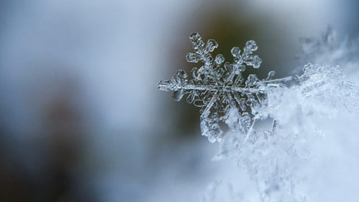 Latest Forecast for Charlotte: Snow, Freezing Rain, and Sleet to Hit This Weekend