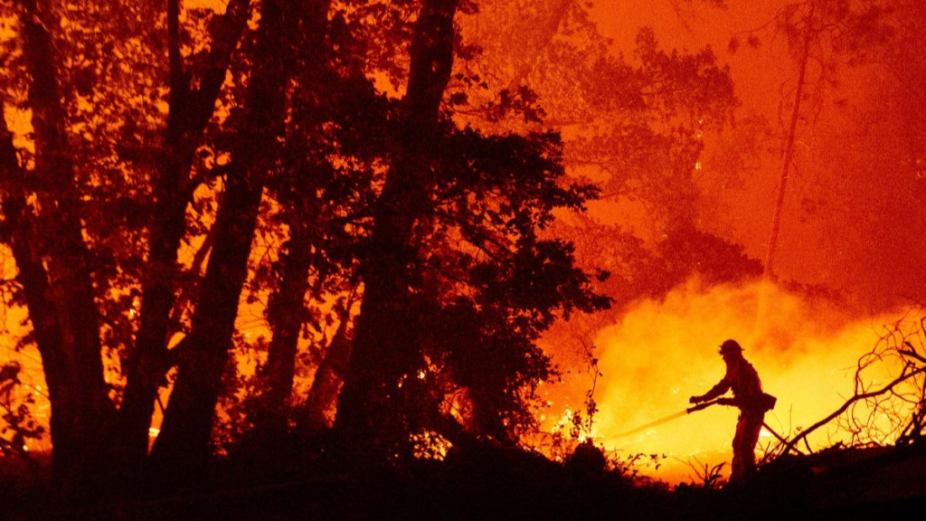 Wildfire Relief: Philly Red Cross Teams Assist Los Angeles Residents 