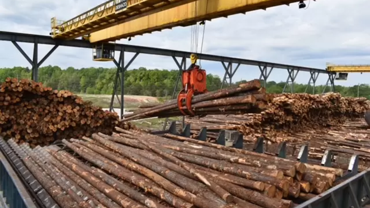 Sustainable Growth: The $36 Billion Impact of Alabama’s Forestry Industry