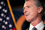 California Governor Newsom Targeted in Recall Campaign After Fires