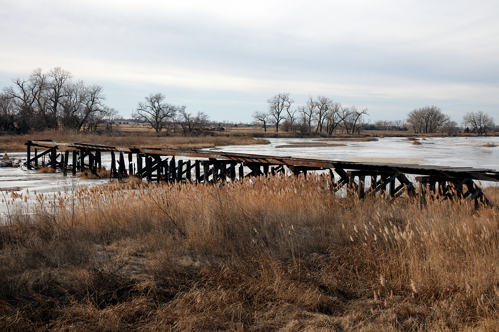 Witches Bridge: The Haunting History of Illinois’ Creepiest Landmark