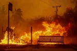 LA Wildfires: Real Estate Companies Step Up to Support Displaced Families