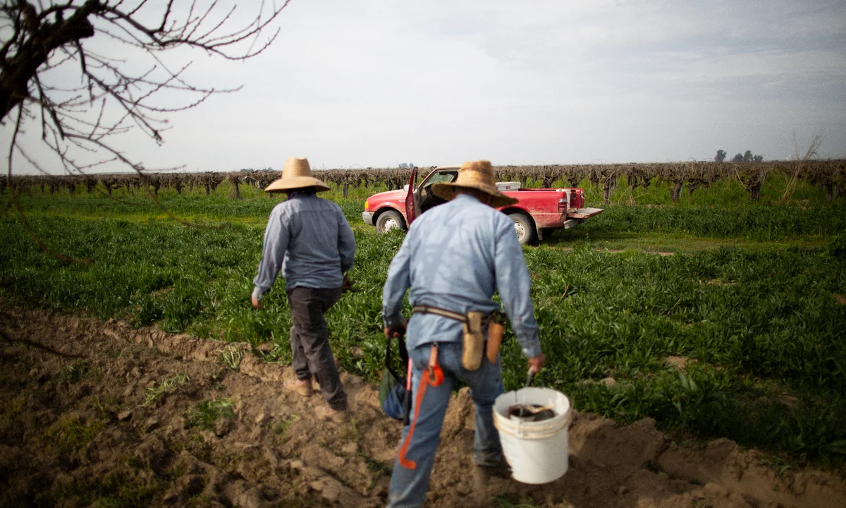 Farmers in Crisis as California’s Water Policies Fail to Match Reality