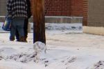 Counting the Homeless: Volunteers Brave Freezing Temperatures in Central Pennsylvania for Important Cause