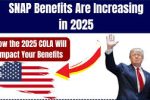 SNAP Benefits Increase Explained: How Much Will You Get in 2025?