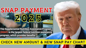 Big SNAP News: Maximize Your Benefits with This $1,756 Payment in January 2025!