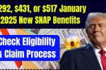 Everything You Need to Know About New SNAP Benefit Amounts: $292, $431, or $517 for January 2025