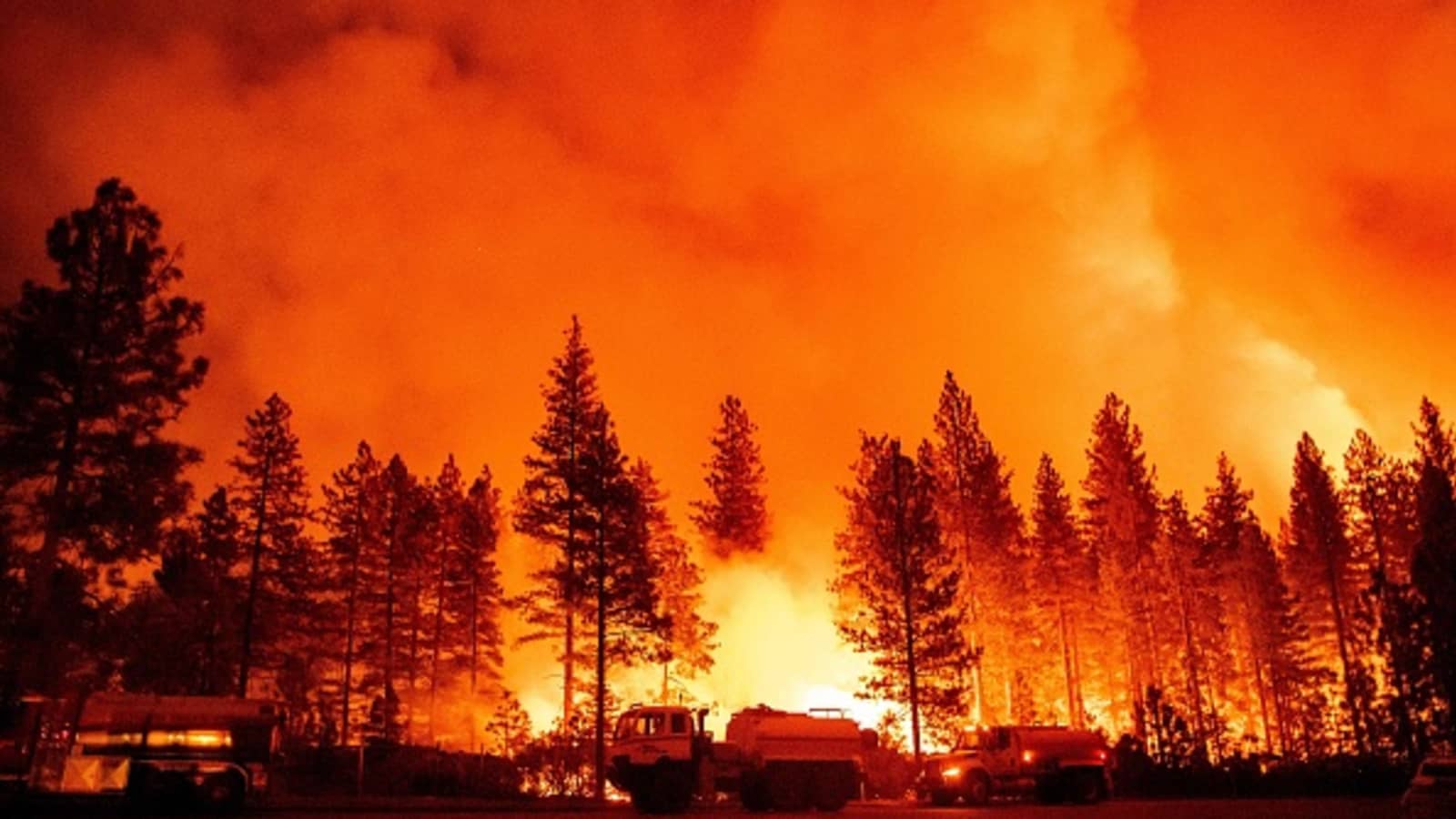 California Wildfires: Verizon’s Engineers Keep Critical Connectivity Intact