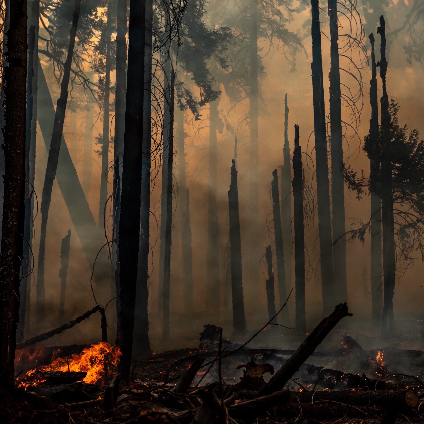 Rep. Mike Flood Backs Fix Our Forests Act to Address Wildfire Crisis