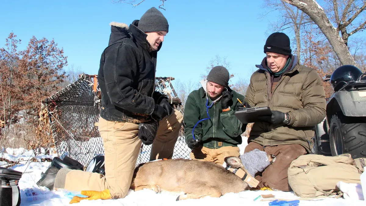 Conservationists Sound Alarm Over Potential Wildlife Funding Reductions in Wisconsin