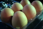 Maryland Sees Unprecedented Egg Price Increases in 2025