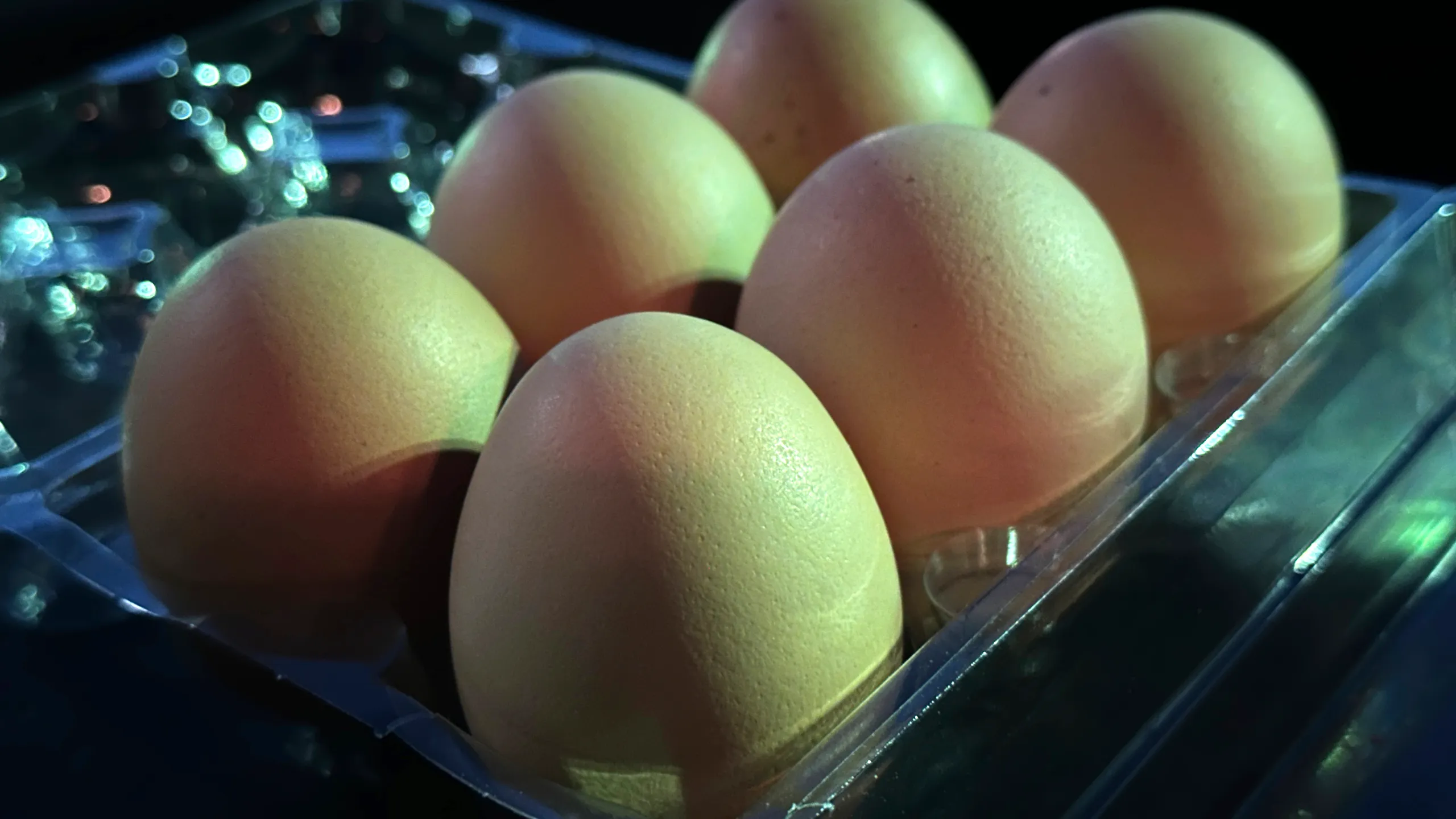 Maryland Sees Unprecedented Egg Price Increases in 2025