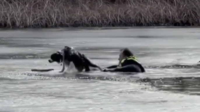 Quick-Thinking Officer Rescues Dog from Icy Waters in NJ