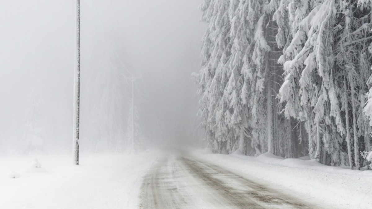 Raleigh Braces for Ice and Snow as Winter Weather Advisory Takes Effect