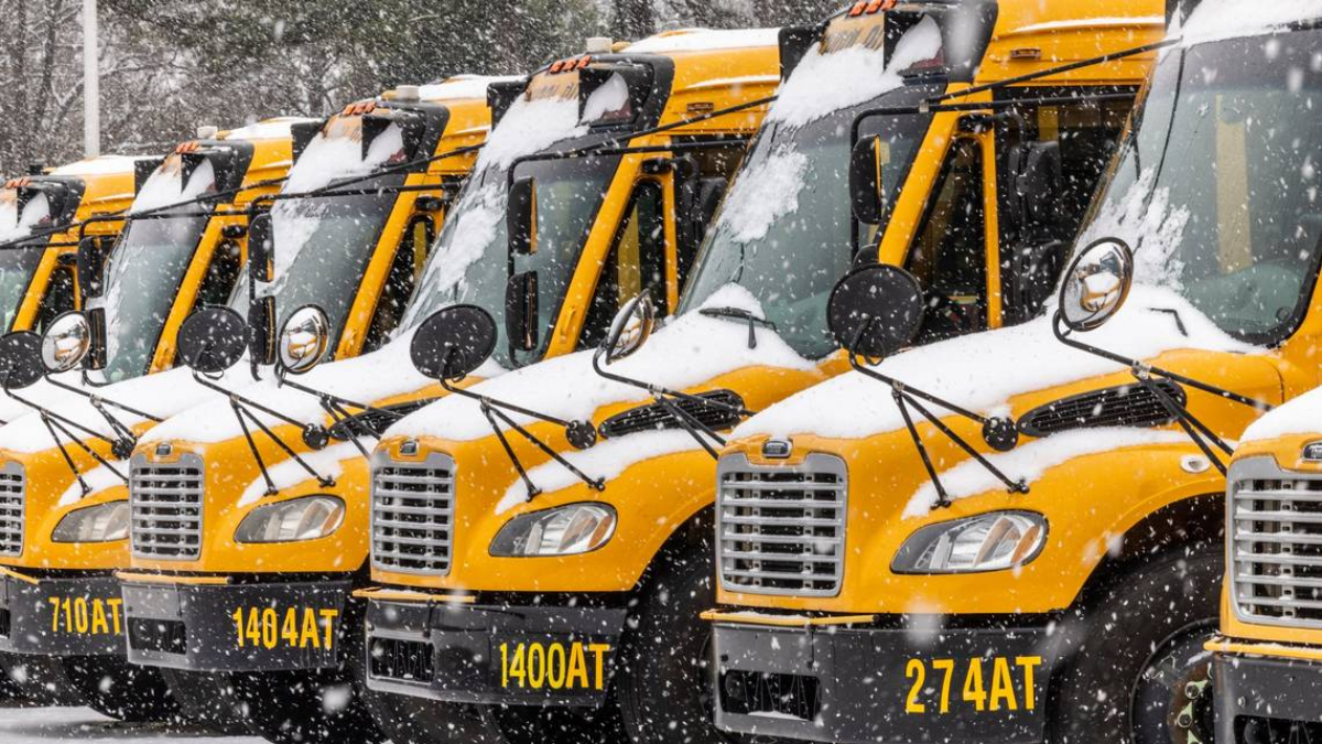 Friday School and University Closures in Triangle Area After Snowstorm