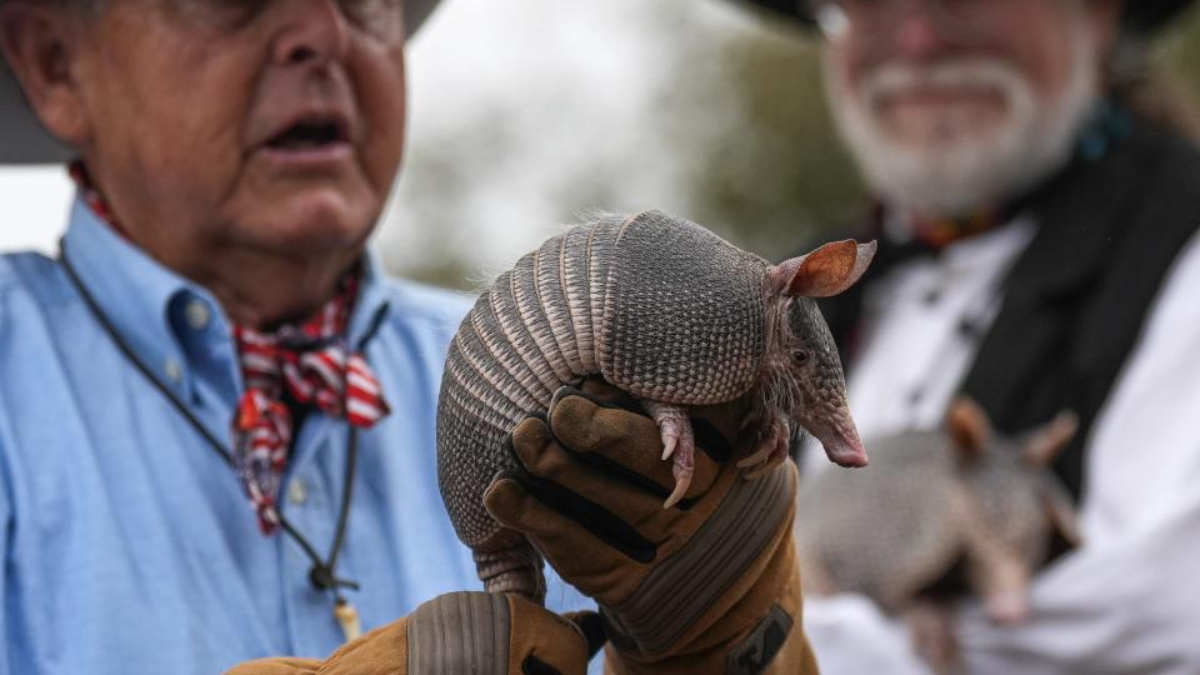 Bee Cave Bob Forecasts Texas Winter, but With a Surprising Caveat