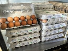 Kentucky Consumers Shocked by Sudden Rise in Egg Prices