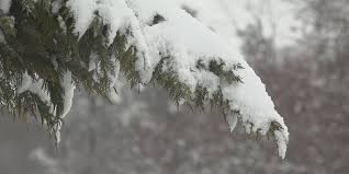 Wintry Mix Causes Slick Roads in Roanoke as Crews Work to Keep Areas Clear