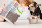 Kentucky’s New Pet Feeder Law What Every Pet Owner Needs to Know