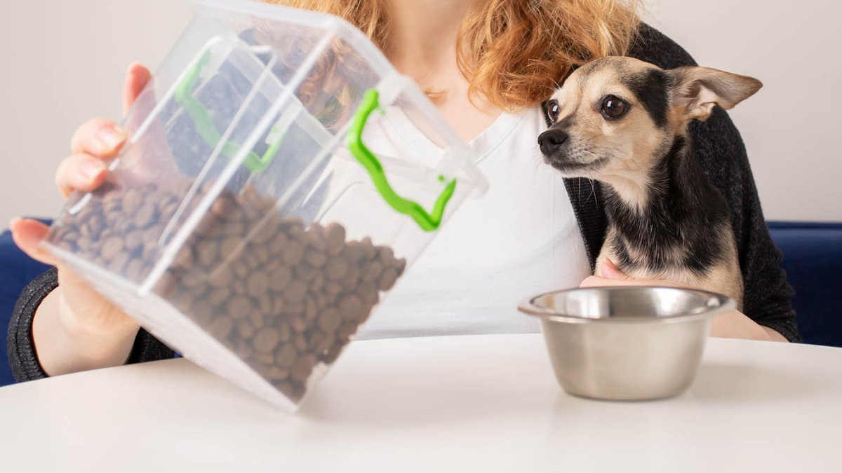 Kentucky’s New Pet Feeder Law What Every Pet Owner Needs to Know