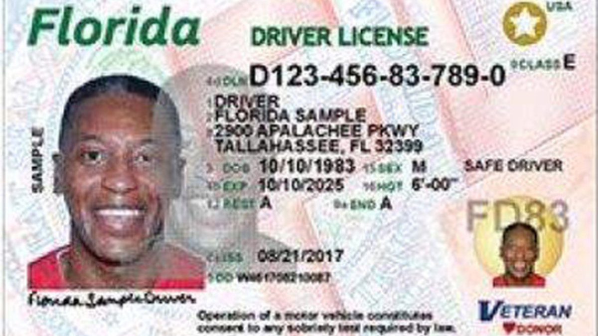 Driver’s License Renewals in Florida: Latest Requirements and Rules for Drivers